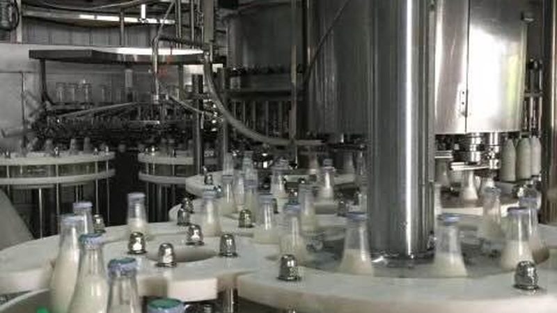 小型食品加工设备选型：如何规避常见误区**